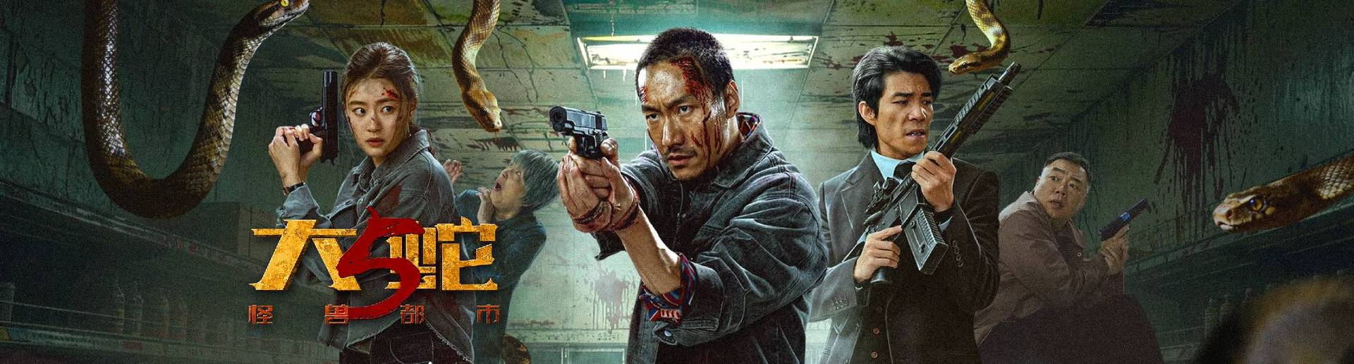 ����5:���޶���