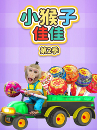 С���ӼѼѵ�2��