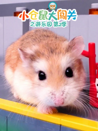 С����󴳹�֮����԰��2��