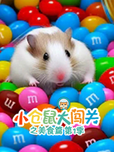 С����󴳹�֮��ʳƪ����ȫ��