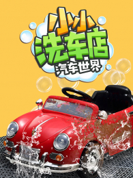 ��������֮ССϴ����