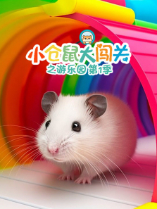 С����󴳹�֮����԰