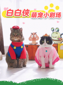 �װ����ȳ�С�糡����ȫ��