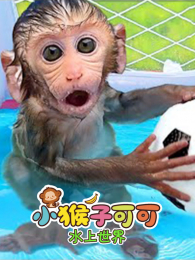 С���ӿɿ�ˮ������