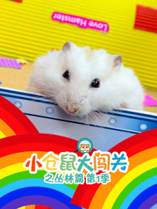 С����󴳹�֮����ƪ