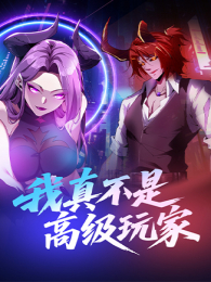 ���治�Ǹ߼����