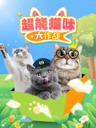 ����è�����ս