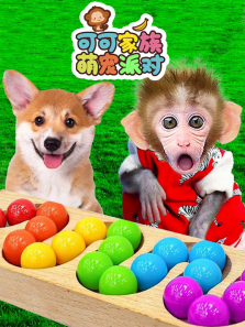 �ɿɼ����ȳ��ɶԶ���ȫ��