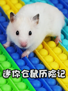 ����������ռ�