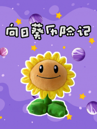 ���տ����ռ�