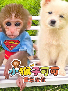 С���ӿɿ�ͯ������