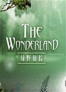 绿野仙踪 第一季