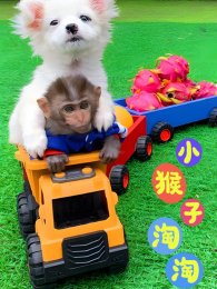 С��������