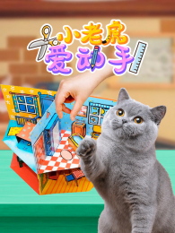 С�ϻ�������