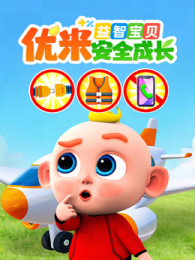 ���Ǳ������װ�ȫ�ɳ�