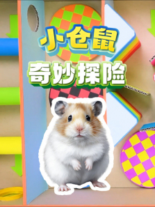 С��������̽��