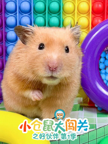 С����󴳹�֮�û�鶯��ȫ��