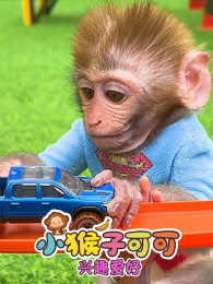 С���ӿɿ���Ȥ����