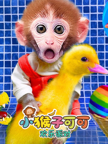 С���ӿɿɻ����ɶ�