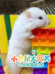 С����󴳹�֮����ƪ��3��