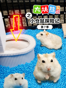 ��������԰֮С����̽�ռǵ�7��