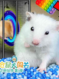 С����󴳹�֮�û���3��