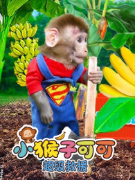 С���ӿɿɳ�����Ԯ