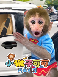 С���ӿɿ���������