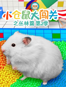 С����󴳹�֮����ƪ��2��