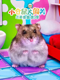 С����󴳹�֮��ʳƪ��3��