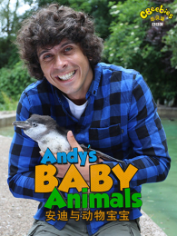 �����붯�ﱦ��