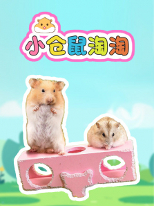 С��������