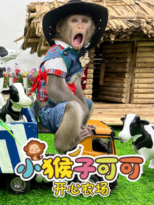 С���ӿɿɿ���ũ��