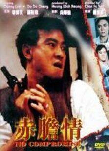 赤胆情国语完整版