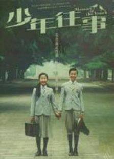 少年往事国语完整版