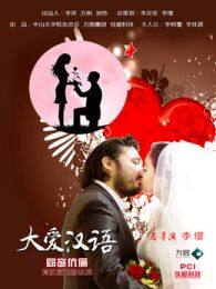 大爱汉语（微电影） 海报