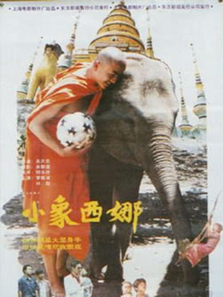 小象西纳 小象西纳