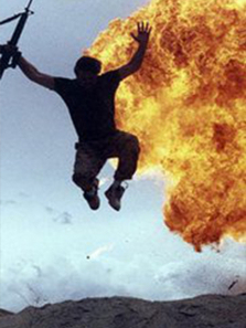 蚂蚁的袭击 蚂蚁的袭击