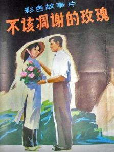 不该凋谢的玫瑰 不该凋谢的玫瑰