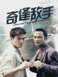 奇逢敌手 奇逢敌手