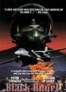 飞行的黑天使 飞行的黑天使