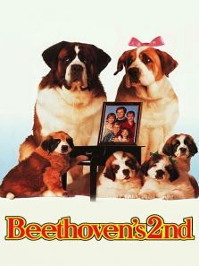 无敌当家2 无敌当家2