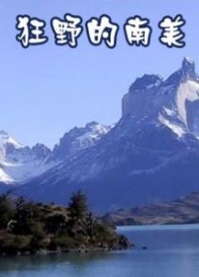 狂野的南美洲 狂野的南美洲