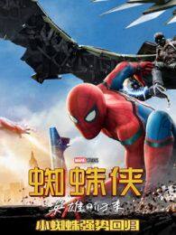 蜘蛛侠英雄归来国语 海报