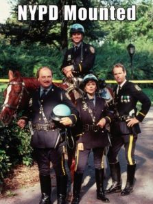 纽约骑警 纽约骑警