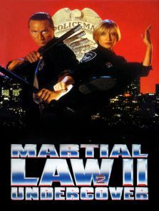 卧底飞龙 卧底飞龙