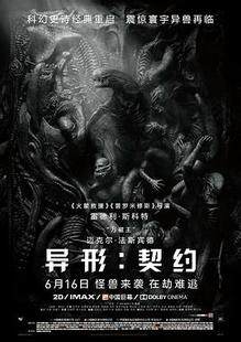 异形契约完整版