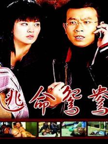 逃命鸳鸯 逃命鸳鸯