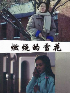 燃烧的雪花 燃烧的雪花