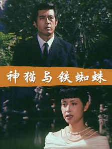神猫与铁蜘蛛 神猫与铁蜘蛛